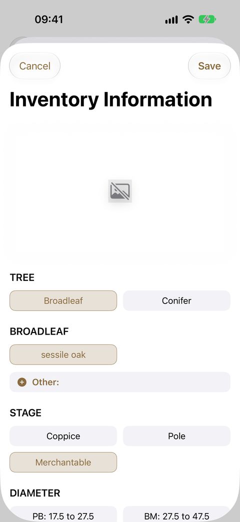 The Inventory Information sheet, with the photo attached at the top: tree type, species and stage, then diameter, distance, height and the new quality scale.