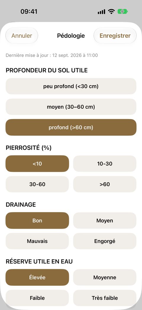Le relevé Pédologie : chaque rubrique à choix unique, la valeur retenue en couleur.